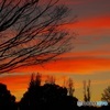 師走の夕焼け雲