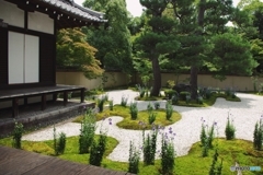蘆山寺 源氏の庭