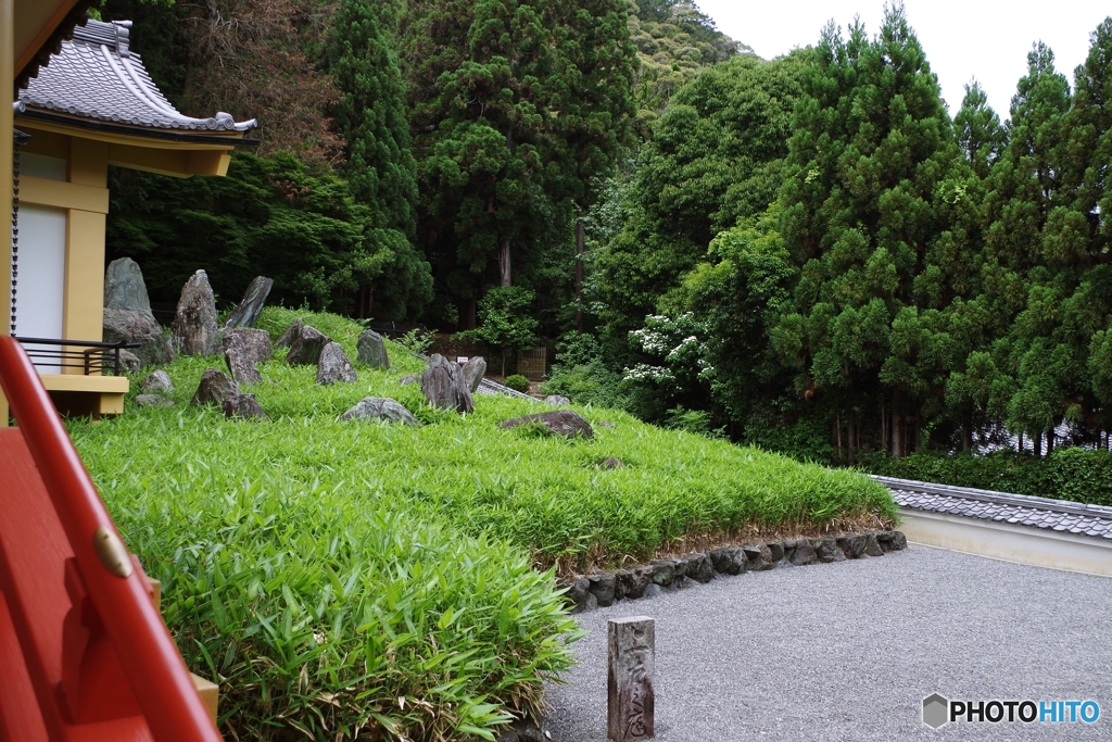 松尾大社 上古の庭(盤座風)　みやこ笹