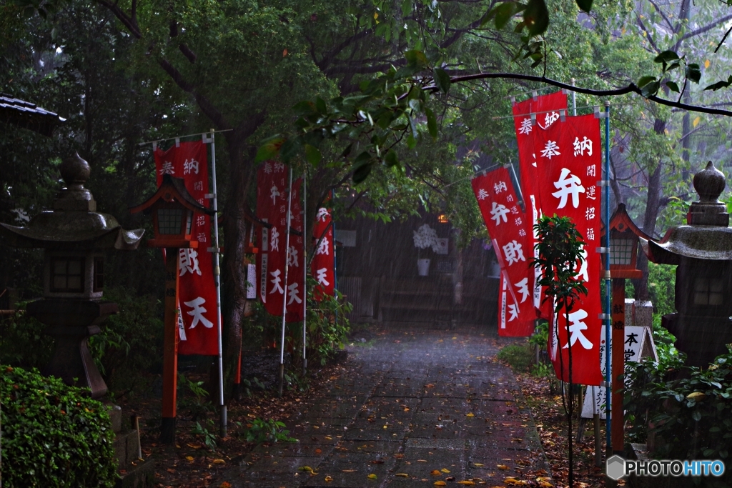 伏見で豪雨 雨宿り