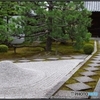 両足院 唐門前庭枯山水①