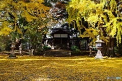 静かな黄金色の神社