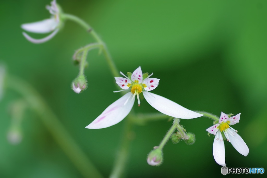 私の存在「無駄」じゃないよね？