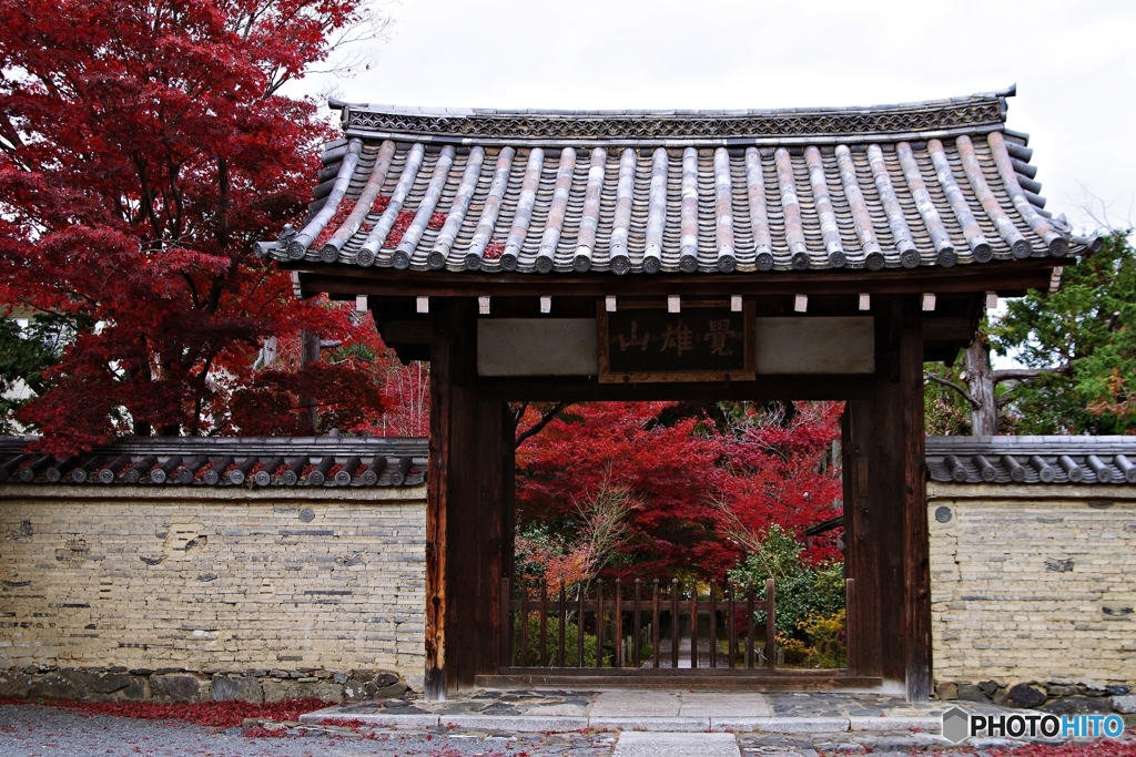 覚雄山 鹿王院 山門