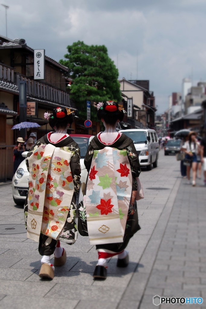 だらりの帯の仲良しさん