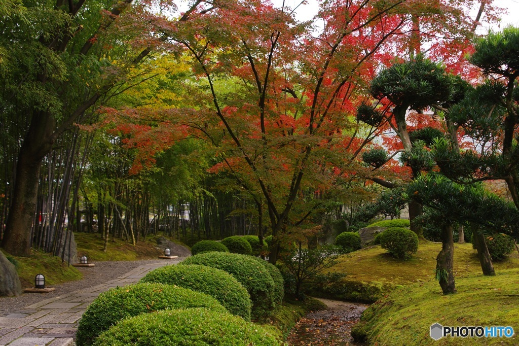 松花堂庭園②