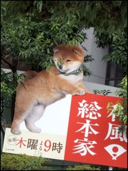 豆助に癒してもらって