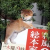 豆助に癒してもらって