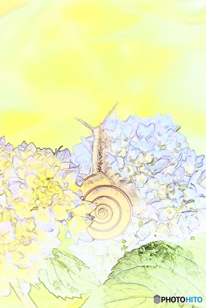 ひょっこりはん