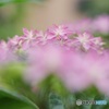 ピンク色の雲間に