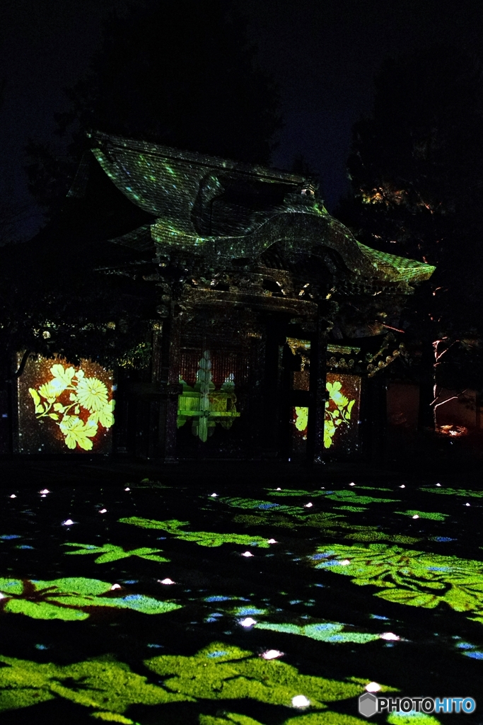 高台寺プロジェクションマッピング③