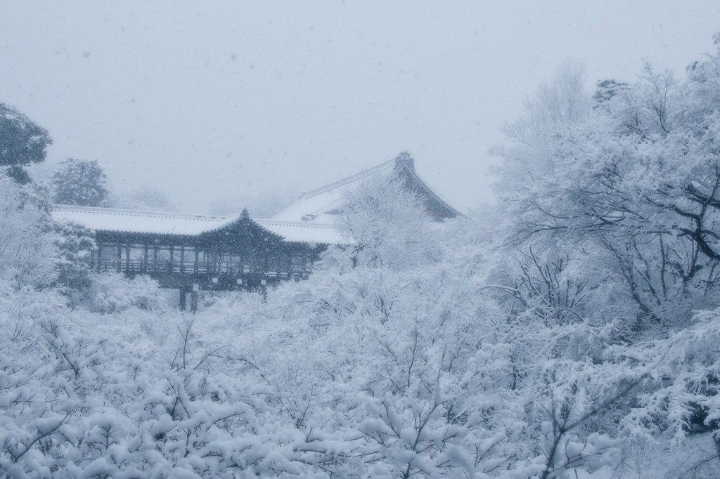 ふんわり雪の東福寺