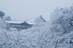 ふんわり雪の東福寺