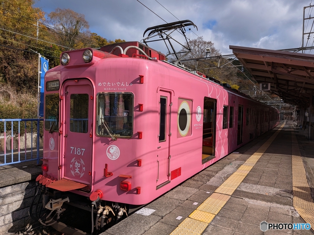 めでたい電車 帰りはpinkの「さち」