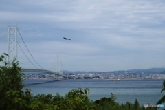 明石海峡大橋