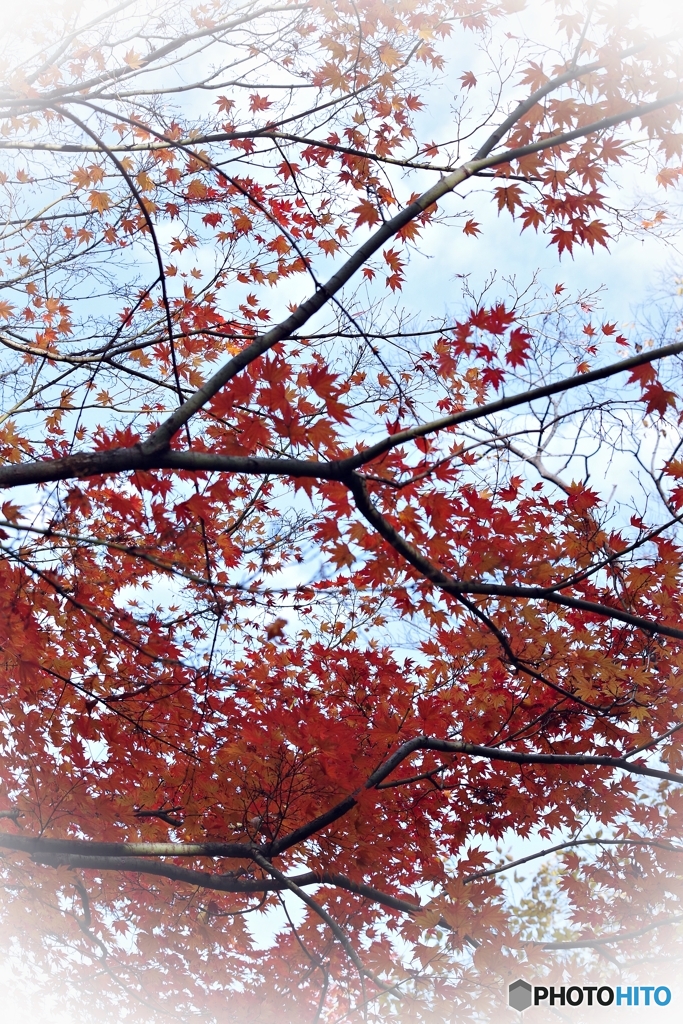 師走の空