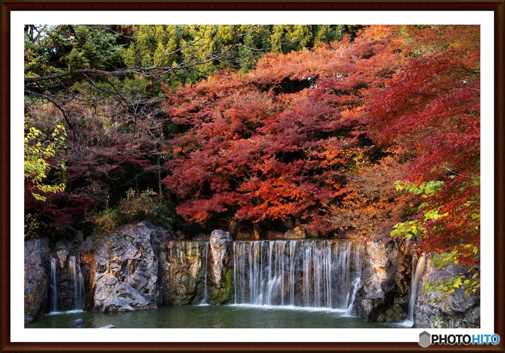 初冬の鶴見緑地公園