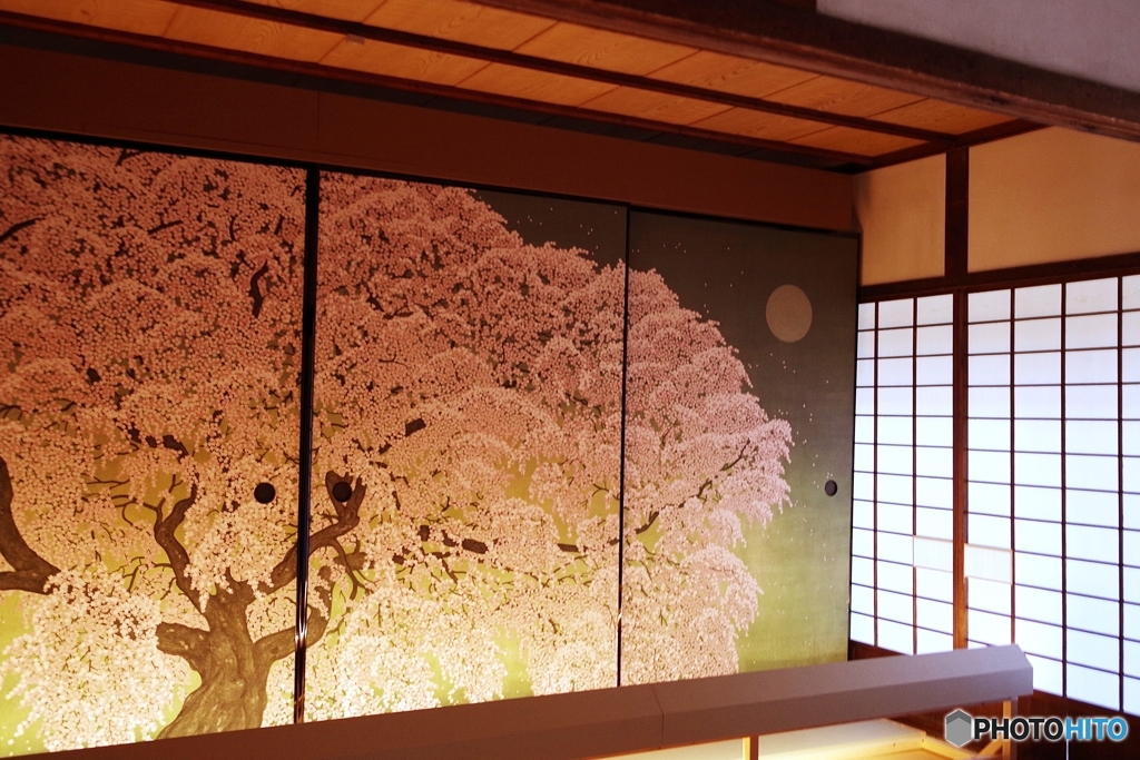 東大寺からのしだれ桜