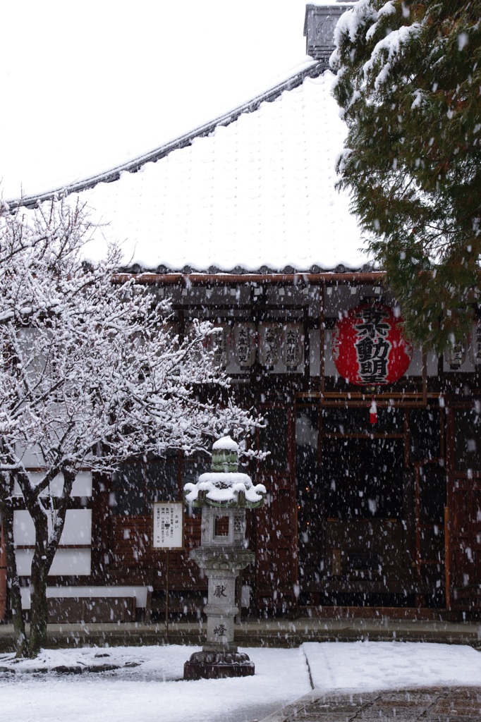 東福寺塔頭 同聚院 五大堂