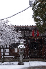 東福寺塔頭 同聚院 五大堂