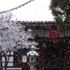 東福寺塔頭 同聚院 五大堂