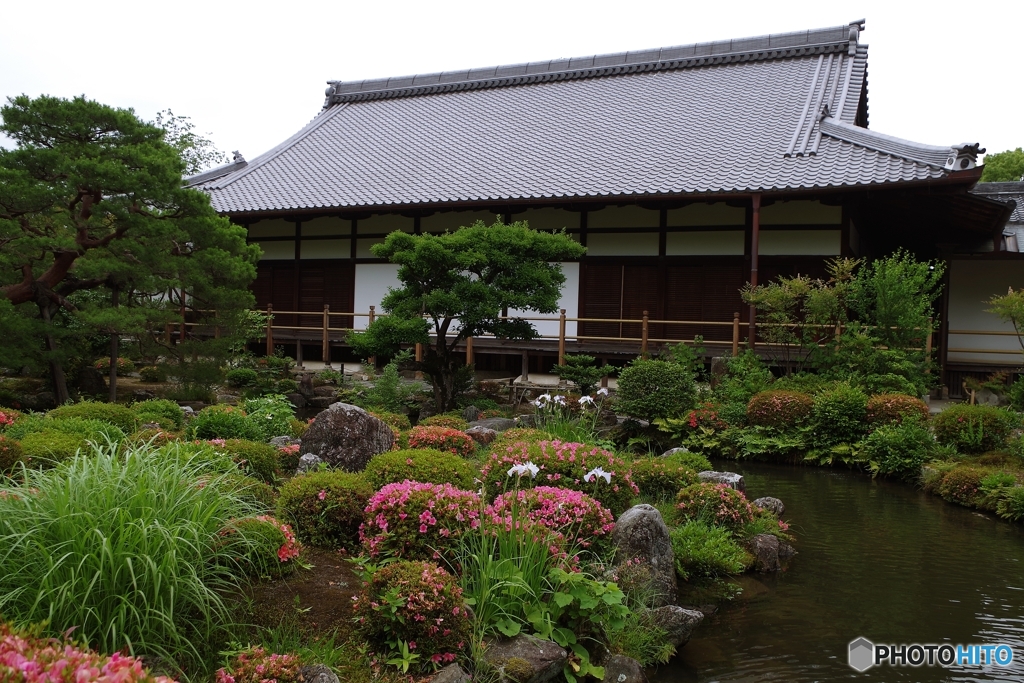 等持院の庭園ひとり占め