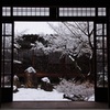 建仁寺・雪の庭
