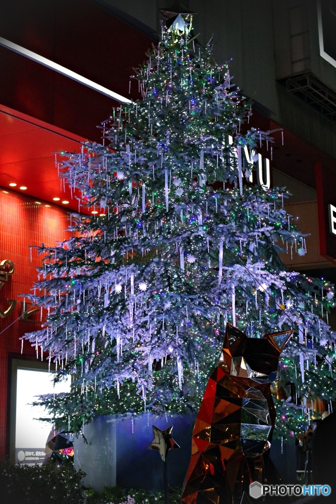 ヘップファイブ前のクリスマスツリー