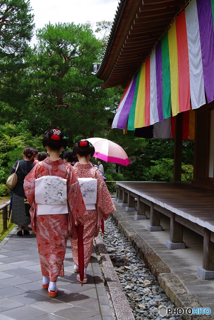 智積院 舞妓さんと五色幕