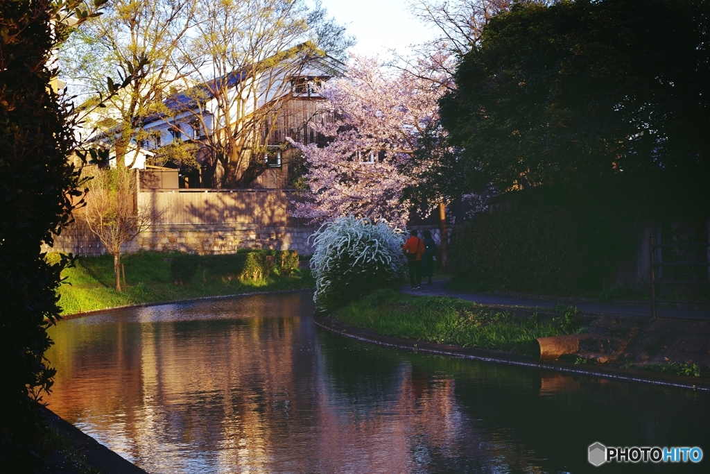 西陽を浴びた蔵の町