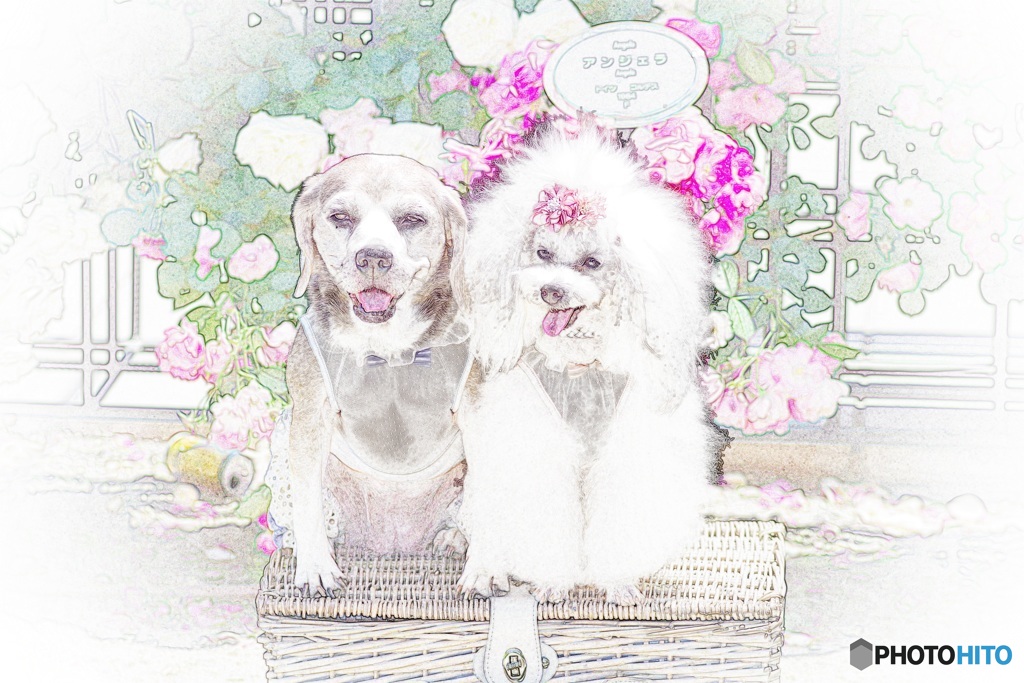 わんちゃんと薔薇