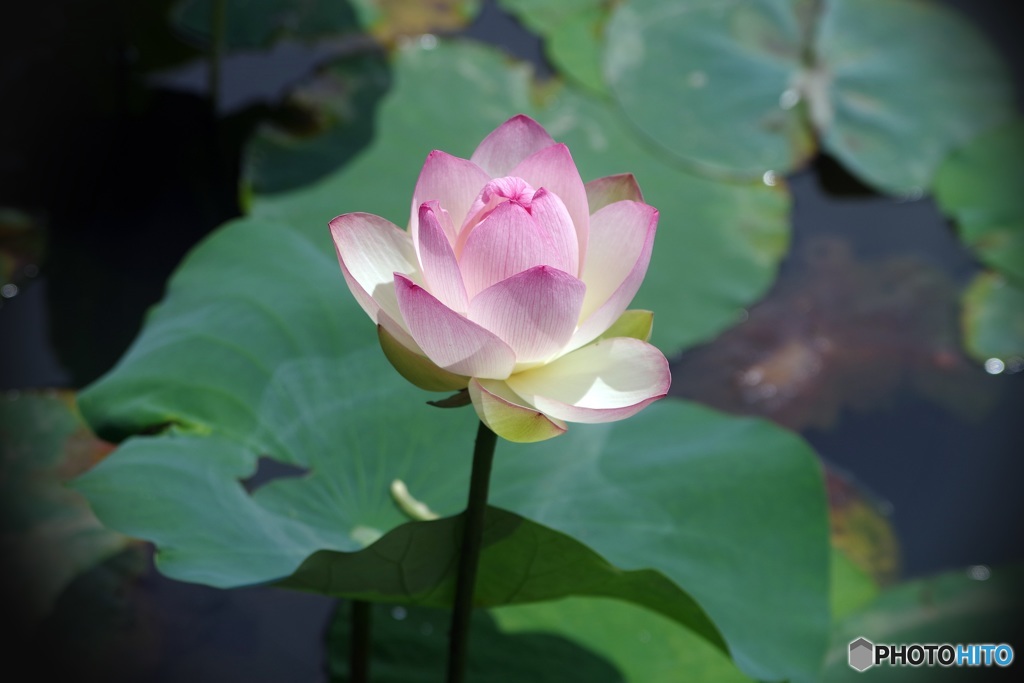 待っててくれました♪