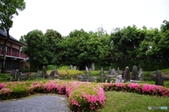 松尾大社 蓬莱の庭(鎌倉風)