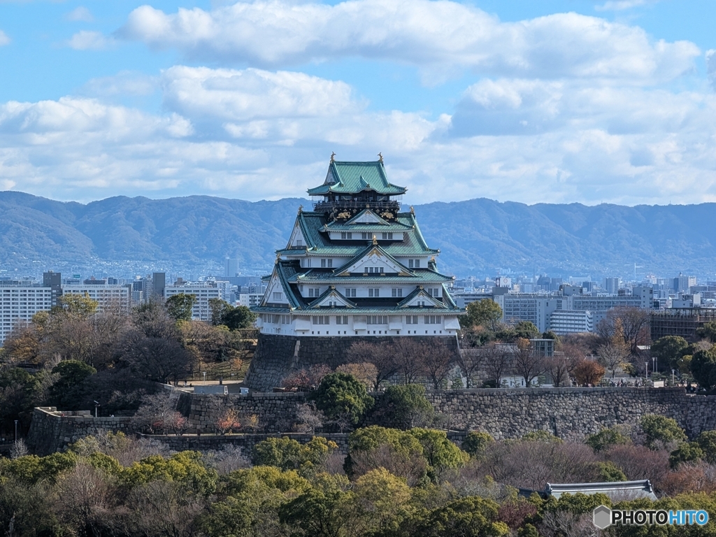 冬枯れた大阪城
