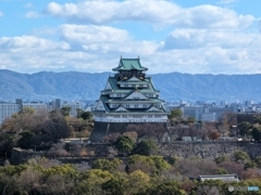 冬枯れた大阪城