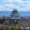 冬枯れた大阪城