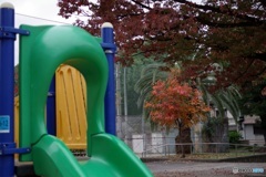 児童公園の秋