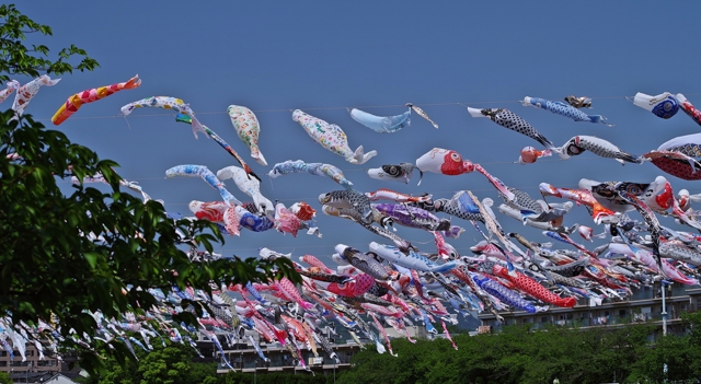 行事写真集