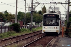 帰りのチン電♪
