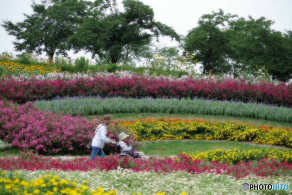 あふれるお花とあふれる優しさ