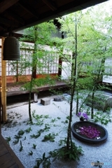 西来院 蘭の庭