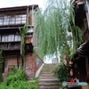 LPキッチン ドーバー階段と柳の木
