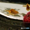 きんぎょ・アートアクアリウム展より