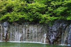 鶴見緑地 人工滝と新緑