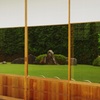 映り込んだ庭園