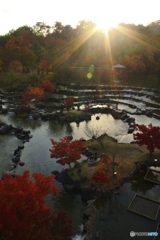 夕暮れの水景棚田