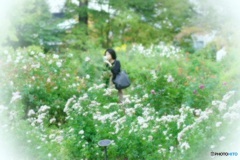 薔薇のかほりを。。。