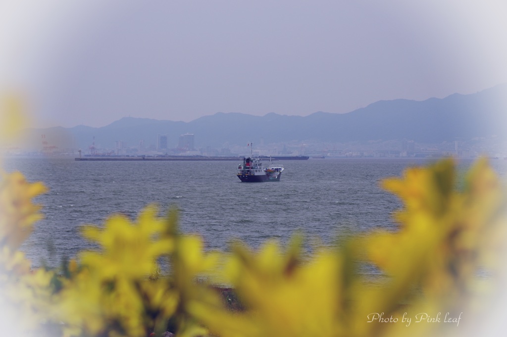 海に向かいて