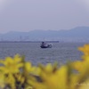 海に向かいて