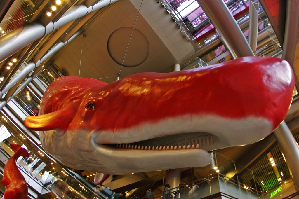 ②カメラアイな赤クジラ